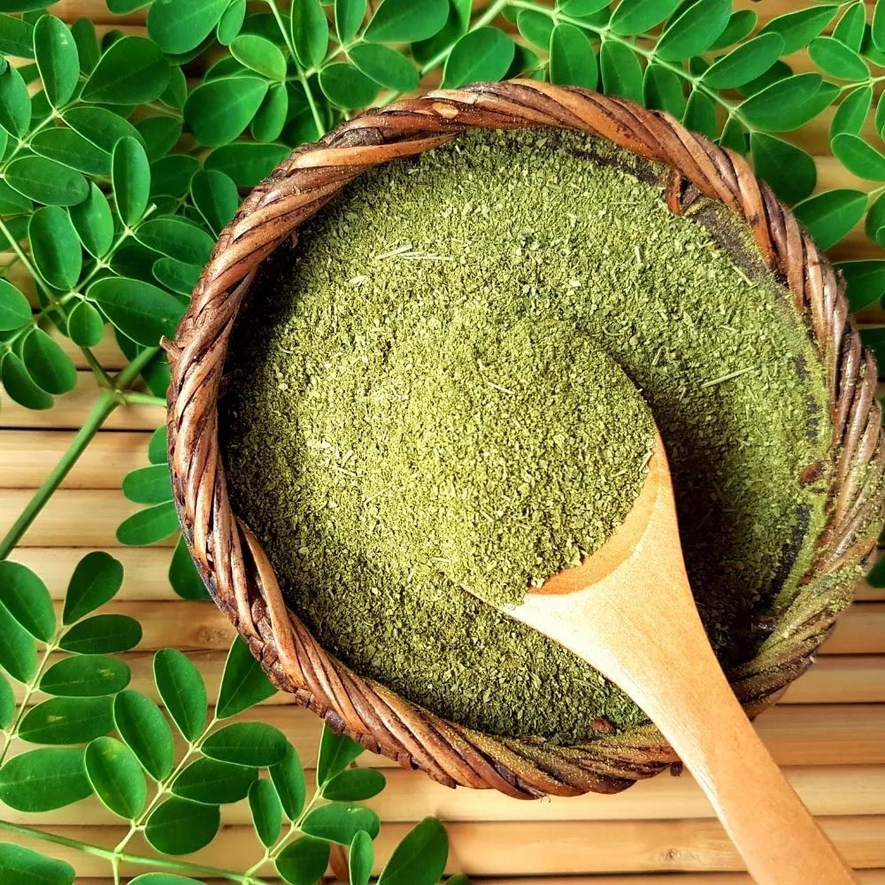Benefits of Moringa for Immunity