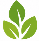 Aureva Logo